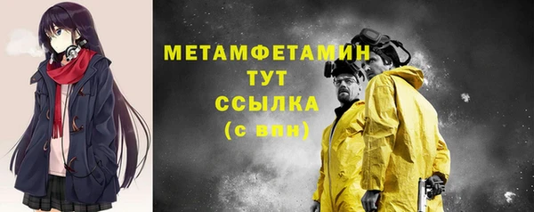 твердый Пересвет