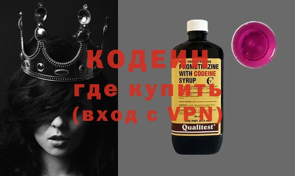 шишки Кемь