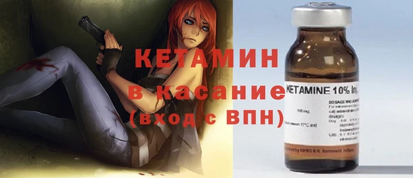 твердый Пересвет