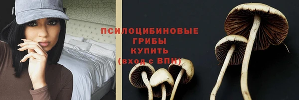 ешки Переславль-Залесский