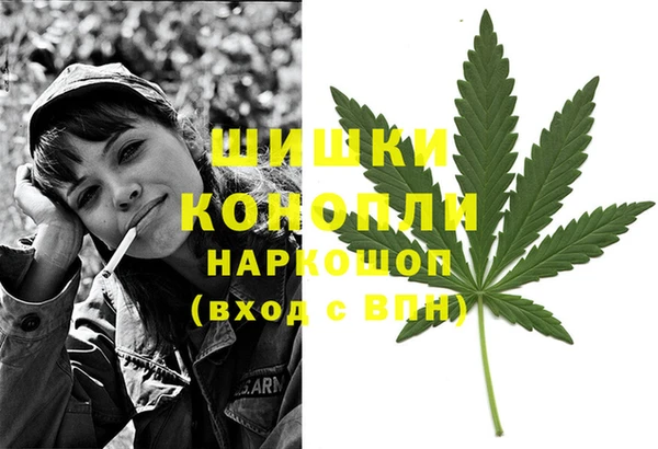 прущие грибы Кизел