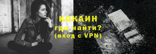 твердый Пересвет