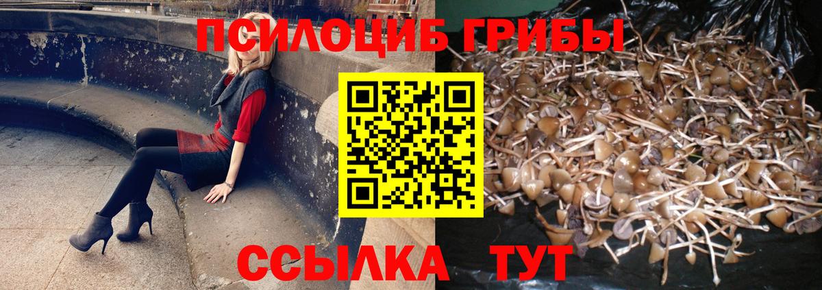 Псилоцибиновые грибы Magic Shrooms Усть-Илимск