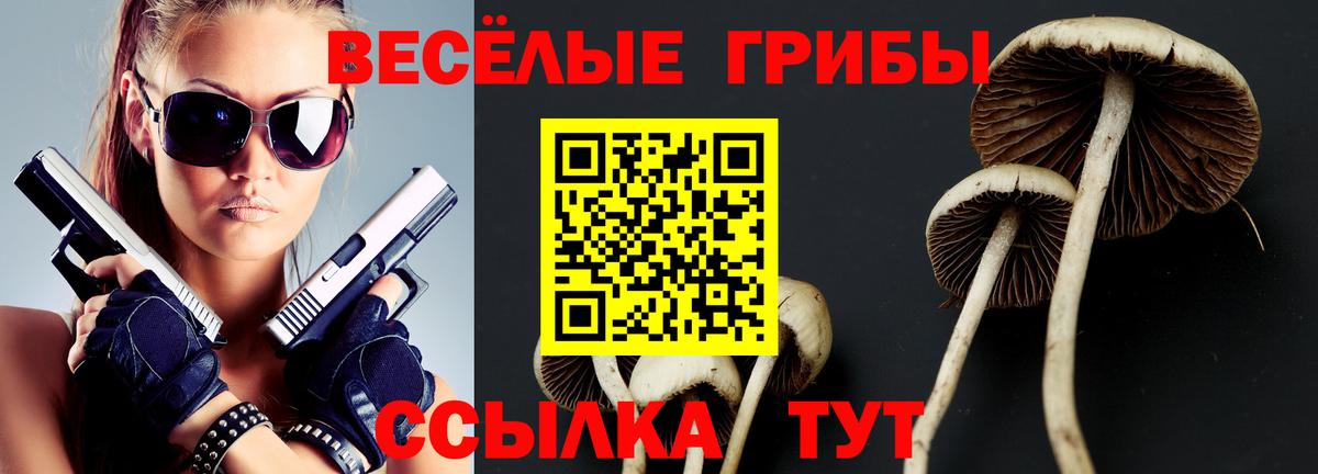 Галлюциногенные грибы прущие грибы Усть-Илимск